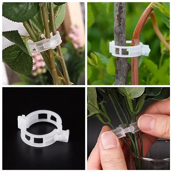 Plant Support Clip