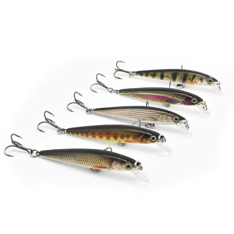 Minnow Lure Bait