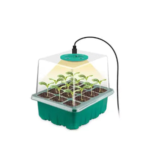 12-Cell Seed Starter Tray