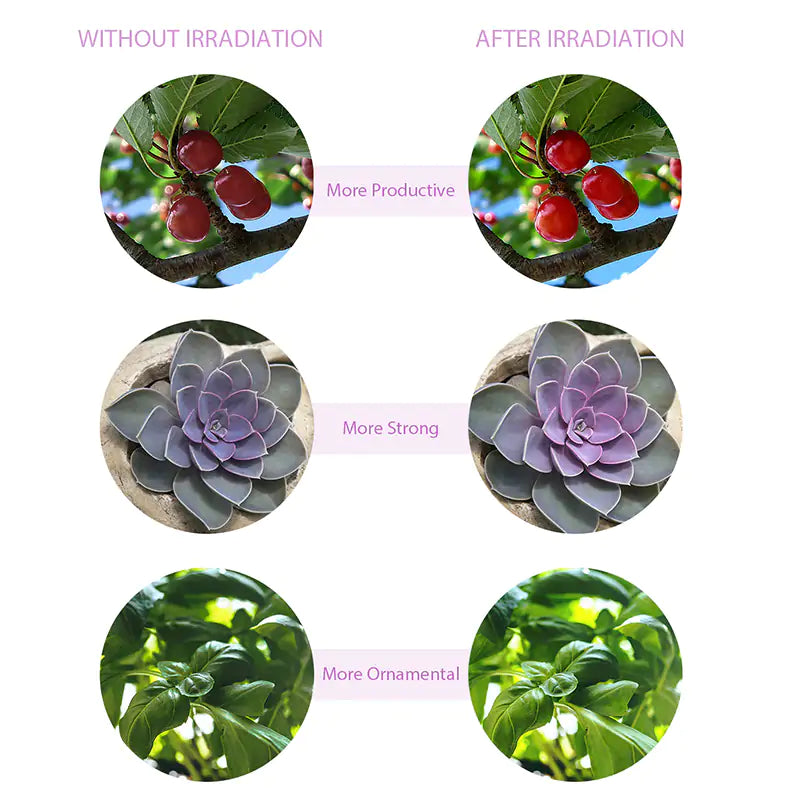 USB LED Grow Light